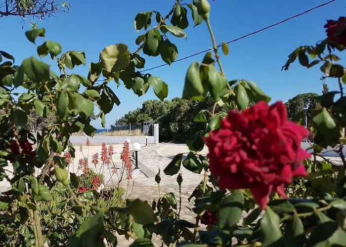 Fantasea Ferienhaus *